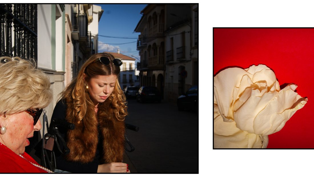 Guapa y Eterna, calle y rosa